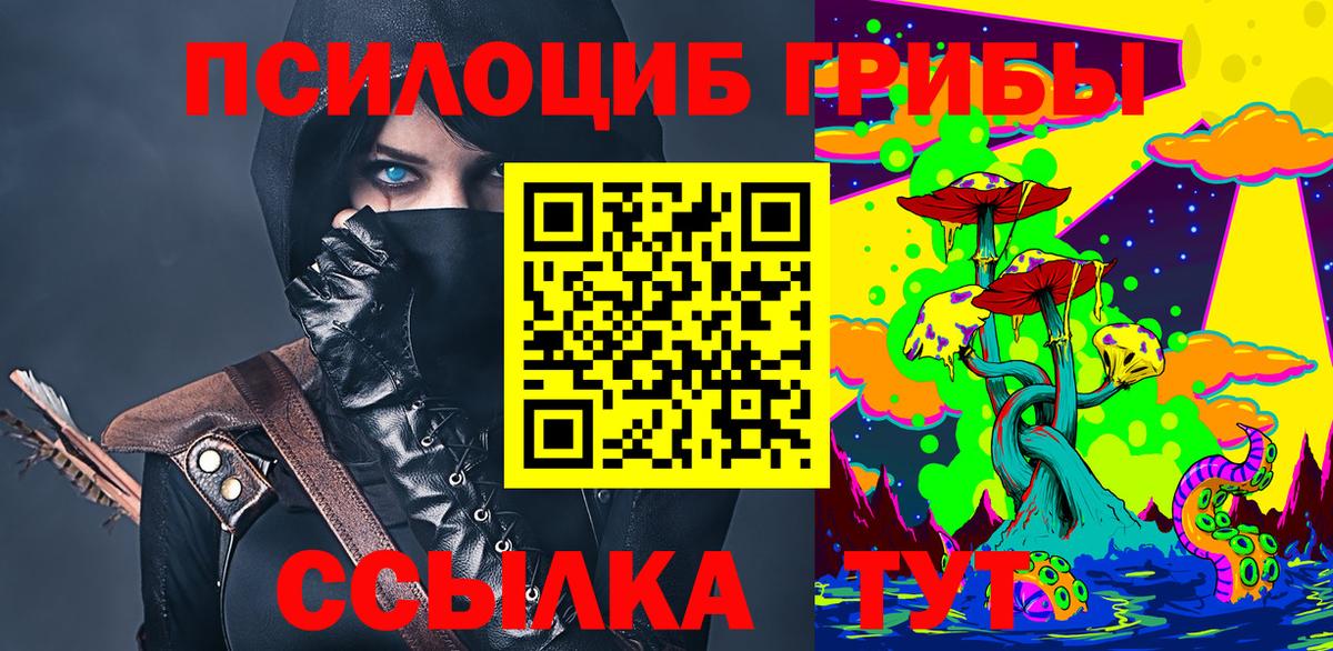 Псилоцибиновые грибы Psilocybine cubensis  Вход с VPN  Псилоцибиновые грибы мухоморы  Сибай 