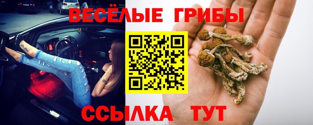 Галлюциногенные грибы ЛСД Сибай